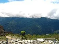 易梅子