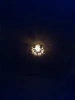 ·_·