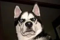 南投亂捶隱形眼鏡