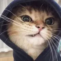 錢淺