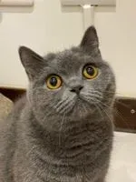 令狐消毒水