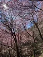 查字典