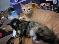 熊寶貝