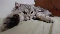 小童