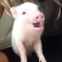 翰
