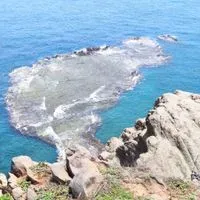 草之敗