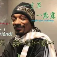 迷途小睪羊