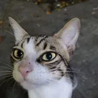悠~閒^Δ^