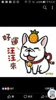 小火柴