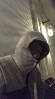 野生北極熊
