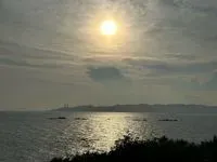 阿尼
