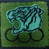medicalcorporal
