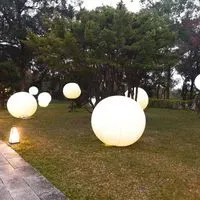 陳小姐