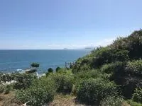 公羊健保卡