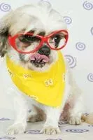 vicky