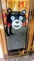 熊畚熊