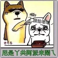 小畢