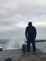無敵笨無尾熊