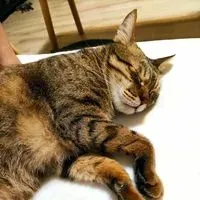 就是雪兒
