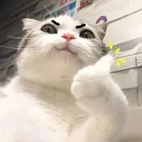 狗嘴