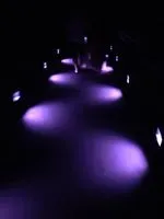 樺達奶茶