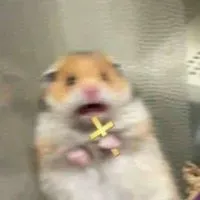 佑民 神大