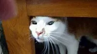 啦啦啦