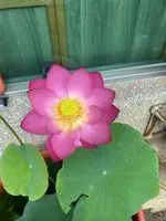 江長弓