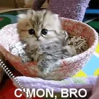 觀念正確