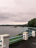 林白
