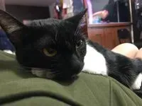 小邱