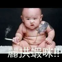 普通慢章魚