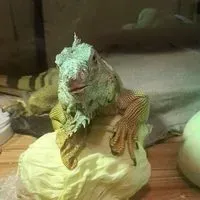 沁沁