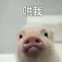 阿D D