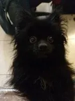 我是誰