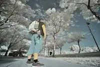 Bo-jou Chen