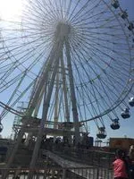 容
