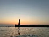公鯊小朋友