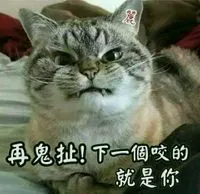 老賴皮貓