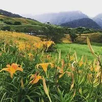 阿富