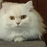 茫茫大海