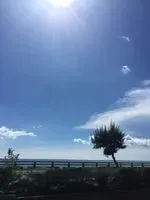 Mita 醬
