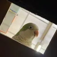 你在看我嗎
