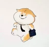 倪小刀