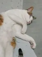 GHUHU