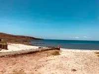 胖喵