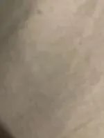 酸螈