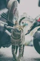 搓搓