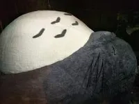 Mei