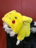 咘萌ʕ•ᴥ•ʔ